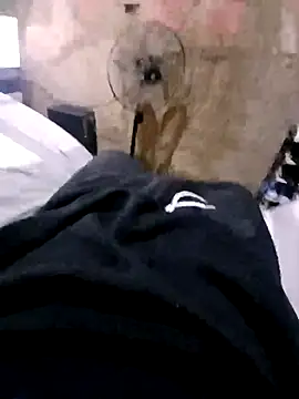 Snapshot of Ricapajarica chatting on January 14, 2026, 3:15 pm Ricapajarica online show from January 14, 2026, 3:15 pm