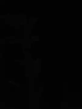 Snapshot of maaltaal chatting on August 6, 2026, 8:26 pm maaltaal online show from August 6, 2026, 8:26 pm