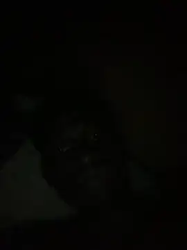 bigdick22156 online show from August 5, 2026, 2:27 am