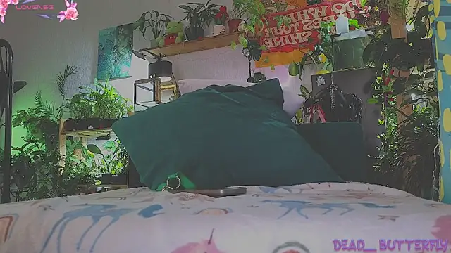 Dead Butterfly online show from March 14, 2025, 4:32 am