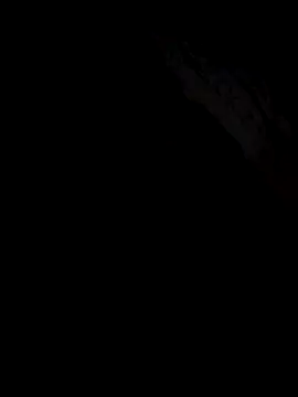 Snapshot of Gazda12 chatting on December 19, 2025, 6:05 am Gazda12 online show from December 19, 2025, 6:05 am