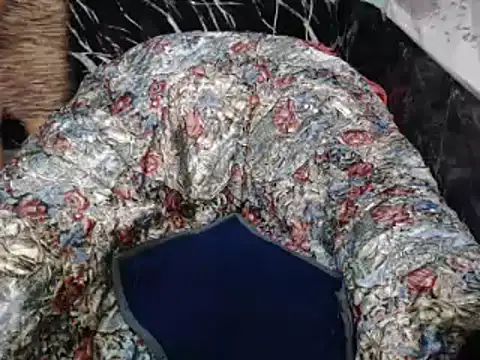 ASIANDOLLY4U online show from February 2, 2026, 10:31 pm