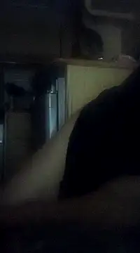 Skody31 online show from February 12, 2025, 10:56 am