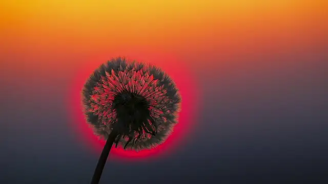 Sunning2 online show from September 16, 2025, 9:43 am