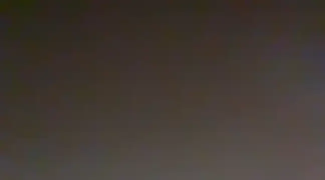 Sunning2 online show from December 20, 2024, 11:00 am