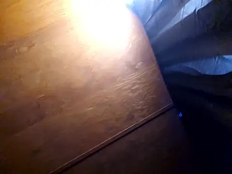 UncutHammer69 online show from February 17, 2026, 3:31 pm