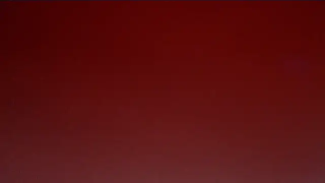 CindyCrawford online show from April 24, 2026, 2:57 am