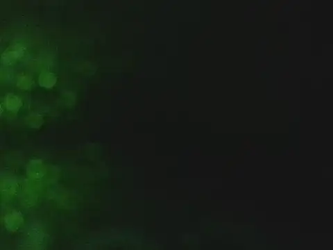 lonelycock33 online show from November 7, 2025, 9:41 pm