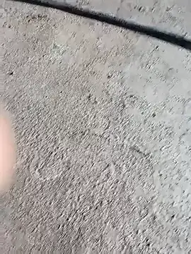 Bengali BULL1 online show from October 4, 2025, 5:09 am