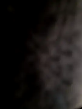 Snapshot of mogli444 chatting on December 8, 2024, 1:03 pm mogli444 online show from December 8, 2024, 1:03 pm