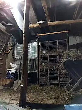 sarpe4 online show from March 2, 2026, 4:58 pm