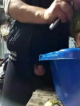 sarpe4 online show from October 9, 2025, 3:34 pm