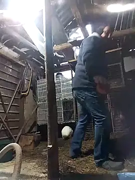 sarpe4 online show from February 21, 2026, 5:20 am