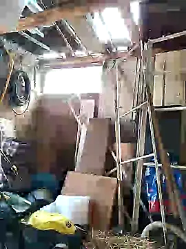 sarpe4 online show from October 5, 2025, 11:01 am