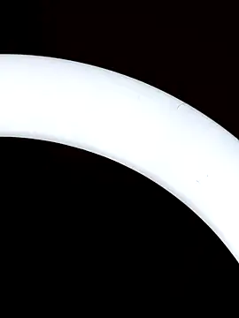 Bull8 online show from March 18, 2025, 1:34 pm