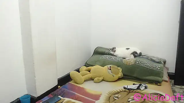 Snapshot of Smoke_trip_Alicia chatting on June 11, 2026, 2:47 pm Smoke trip Alicia online show from June 11, 2026, 2:47 pm