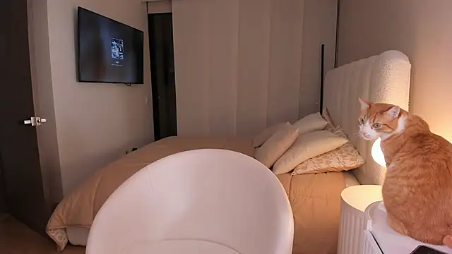 salome  11 online show from September 23, 2025, 1:23 am