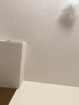 cumgitsumdic online show from February 3, 2025, 7:10 pm