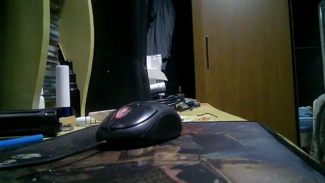 Snapshot of gauchors20 chatting on March 10, 2026, 3:10 am gauchors20 online show from March 10, 2026, 3:10 am