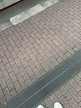 Lionayowe online show from September 27, 2025, 1:17 pm