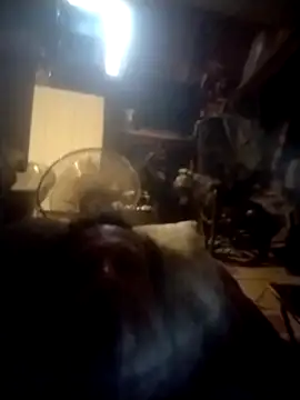 trucker1979 online show from September 27, 2025, 10:54 am