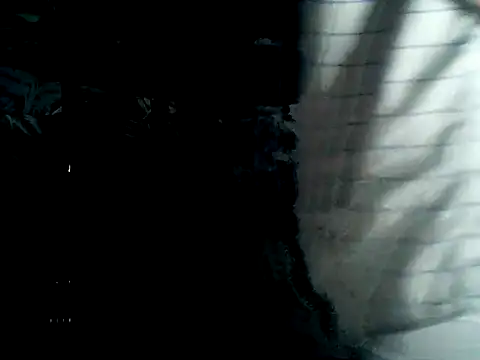 Latinjim29 online show from February 2, 2026, 1:37 am