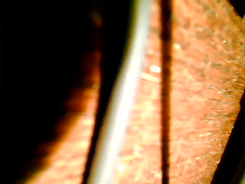 johnjohn622662 online show from November 12, 2025, 4:22 pm