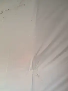 Snapshot of Ebony_nasty_girl chatting on February 13, 2026, 7:30 am Ebony nasty girl online show from February 13, 2026, 7:30 am