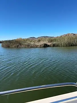 Goonwithoutclinching online show from January 10, 2026, 9:10 pm