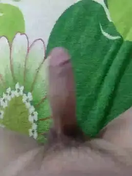 dickbastienweed online show from January 30, 2025, 8:42 pm