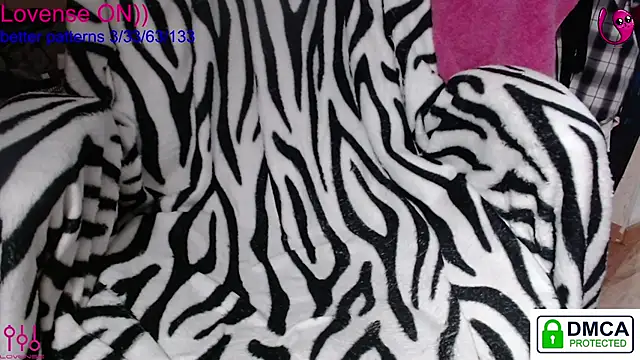 sweet cute cat online show from January 13, 2026, 8:13 pm