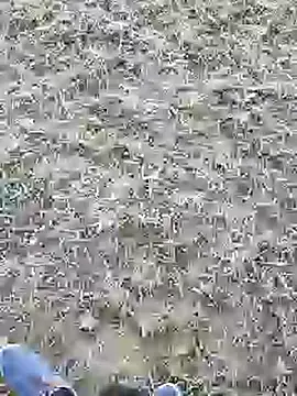 mister-dwt online show from March 5, 2025, 9:38 am