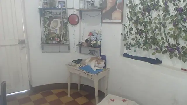 Snapshot of FunnyGrandma chatting on February 11, 2026, 9:58 pm FunnyGrandma online show from February 11, 2026, 9:58 pm