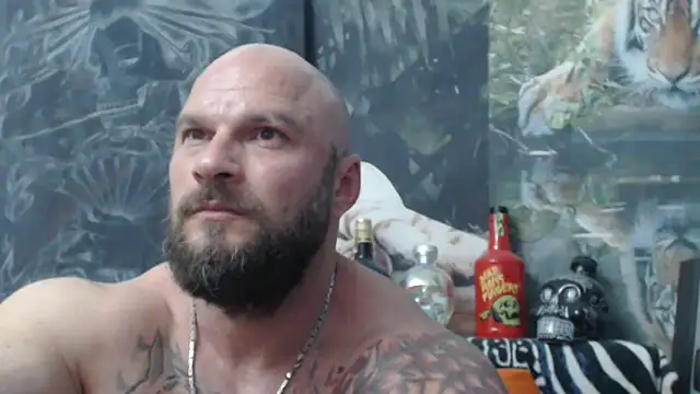 viking 30 online show from June 11, 2026, 5:54 pm
