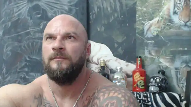 viking 30 online show from June 6, 2026, 5:51 pm