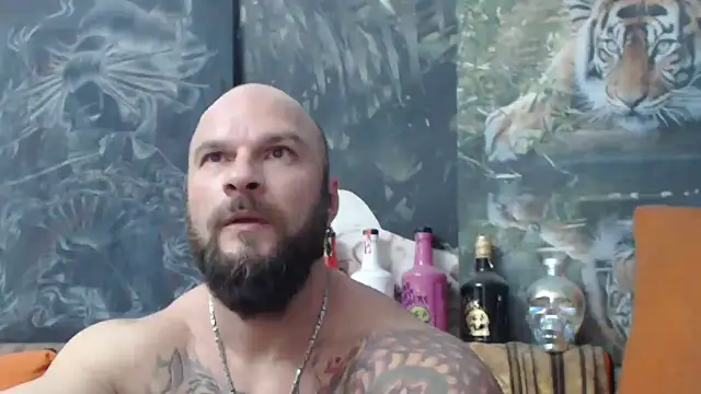 viking 30 online show from October 29, 2025, 4:50 pm