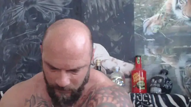 viking 30 online show from June 24, 2026, 6:34 am