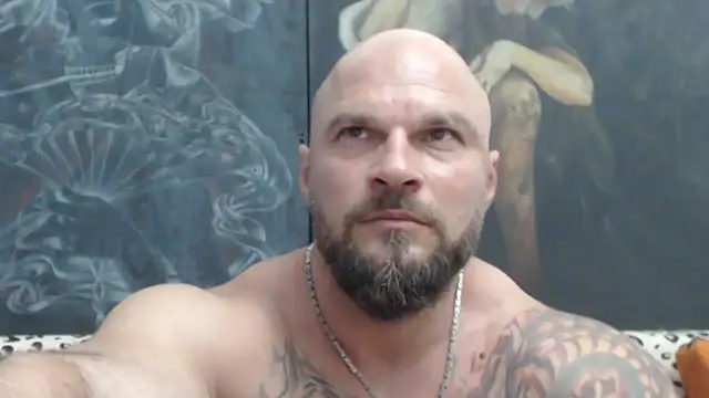 viking 30 online show from June 25, 2026, 6:35 pm