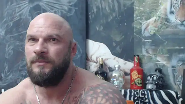 viking 30 online show from June 10, 2026, 6:20 pm