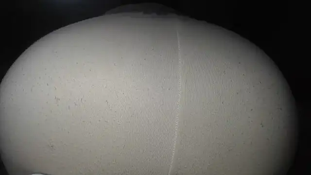 prettyangelsquirt online show from May 29, 2026, 1:11 am