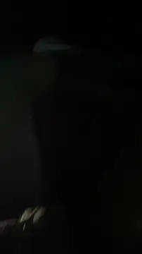 Snapshot of Kingnik13 chatting on November 23, 2025, 6:34 am Kingnik13 online show from November 23, 2025, 6:34 am
