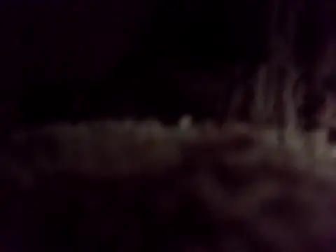 Njinjiwaboh online show from February 23, 2026, 2:46 am