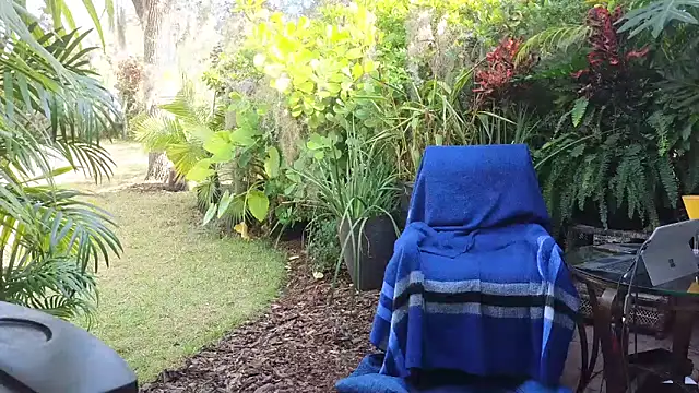 Snapshot of eliberator1777 chatting on December 10, 2024, 3:44 pm eliberator1777 online show from December 10, 2024, 3:44 pm