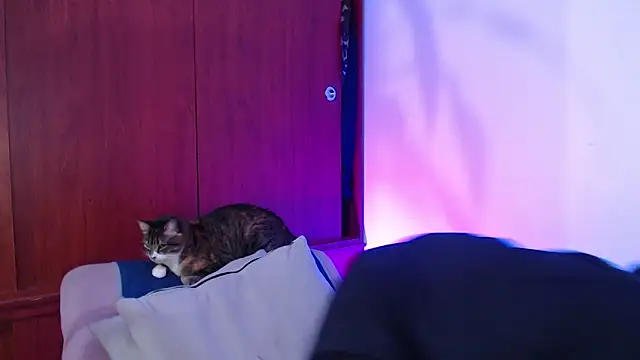 Snapshot of Raventh_ chatting on March 14, 2026, 12:00 pm Raventh online show from March 14, 2026, 12:00 pm