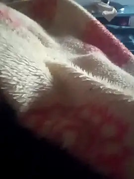 Snapshot of casaltrasante chatting on March 13, 2026, 5:45 am casaltrasante online show from March 13, 2026, 5:45 am