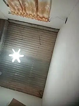 TropicalFlower online show from March 3, 2026, 11:17 am