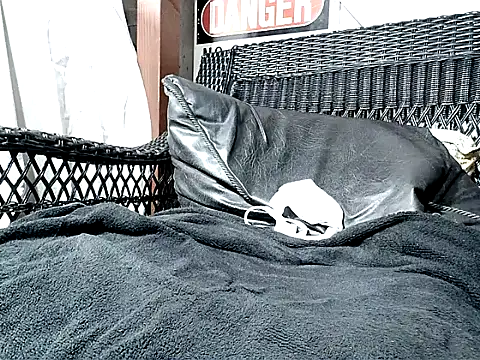 HungHawaiian808xh online show from November 10, 2025, 4:50 am