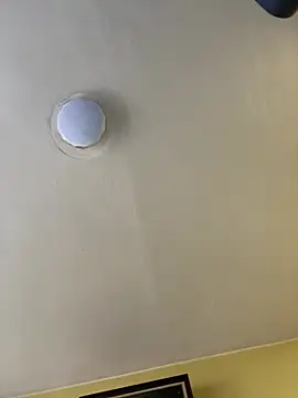 Flakka95 online show from February 5, 2025, 1:54 pm