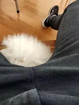 papiculo86 online show from February 2, 2025, 9:07 am