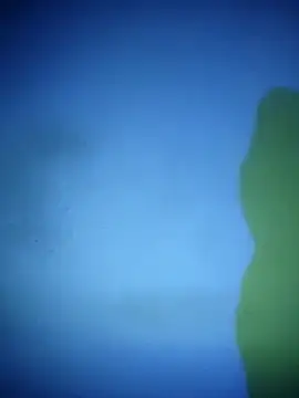 waspy online show from March 7, 2025, 9:17 pm